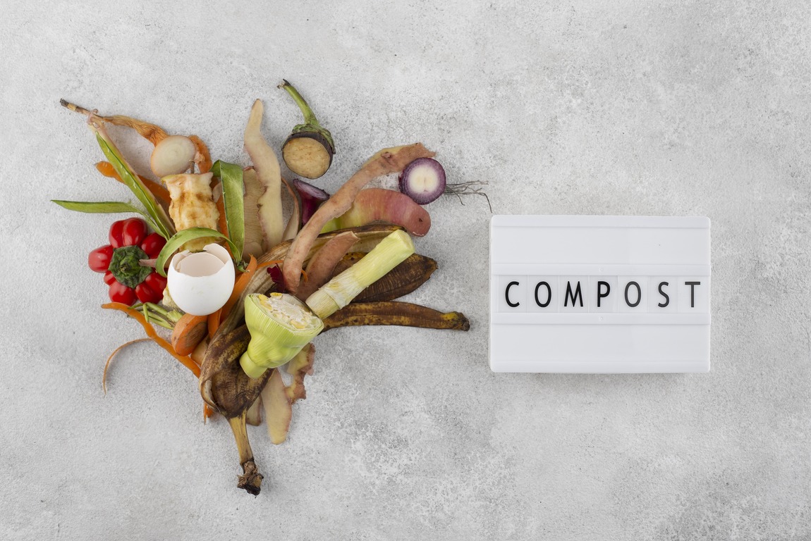 Composting 101: Transforming Food Scraps into Garden Gold