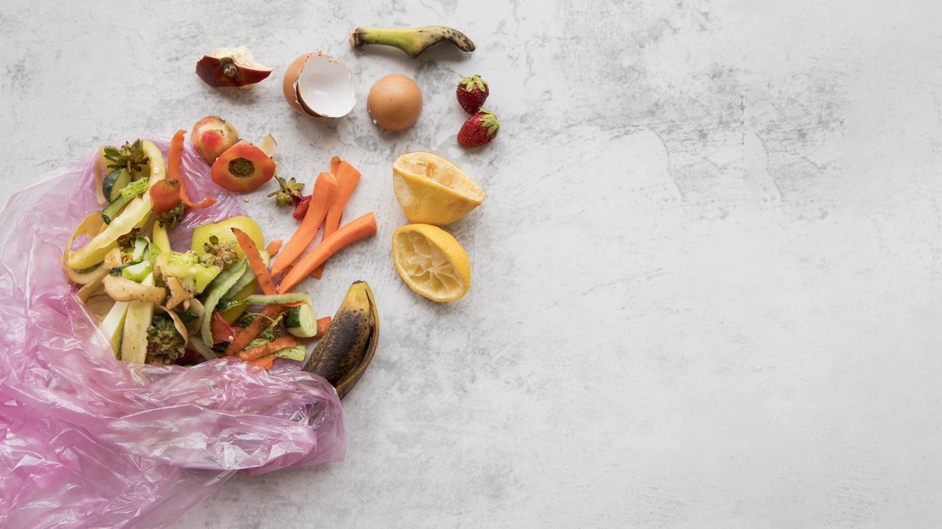 The Art of Composting: Turning Food Waste into Garden Gold